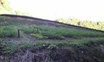 20061007154149 (1).jpg