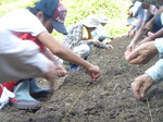 DSC02162.JPG