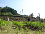 DSC02496.JPG