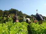 DSC02909.JPG